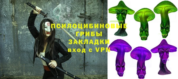 дмт Алексин