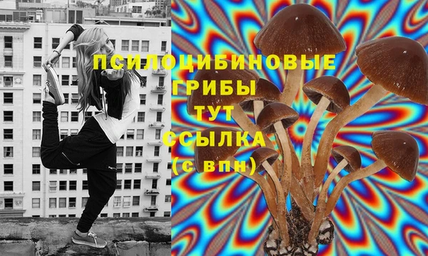 гидра Алзамай