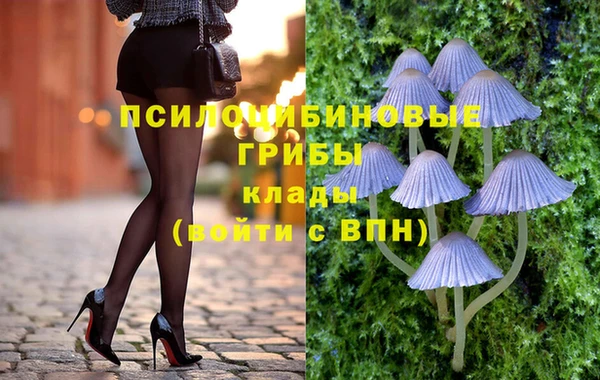 гидра Алзамай