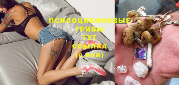 гидра Алзамай