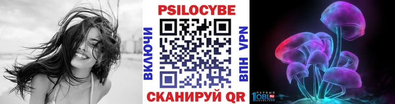 Псилоцибиновые грибы Cubensis  Сосенский 