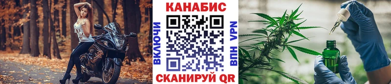 дарнет шоп  Сосенский  Канабис сатива 
